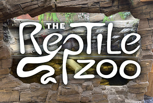 Why The Reptile Zoo in Fountain Valley Should Be on Your Southern California Bucket List
