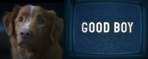 Good Boy - Official Trailer