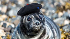 The Heidi and Frank Show February 18th, 2026